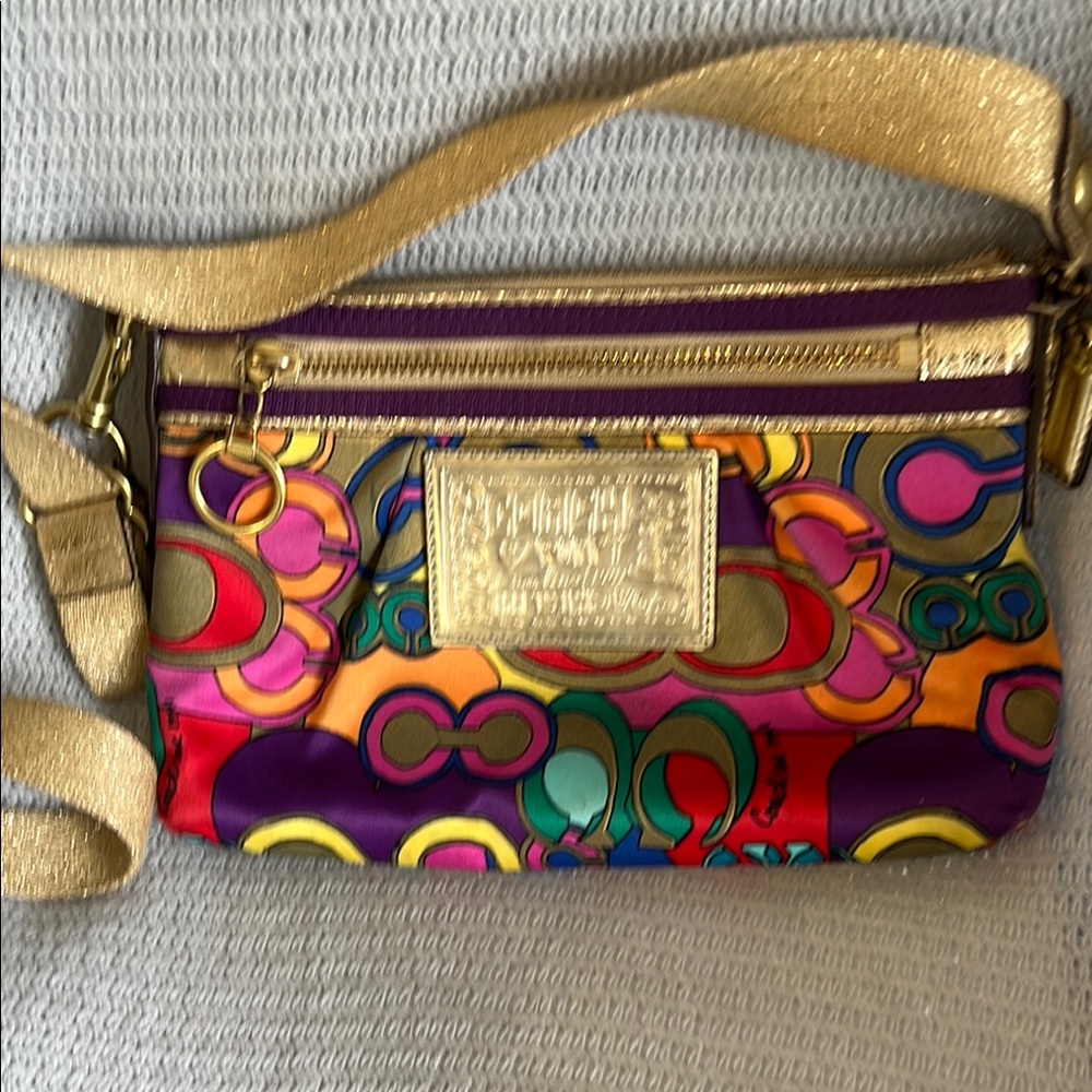 Colorful Coach Women's Bag
